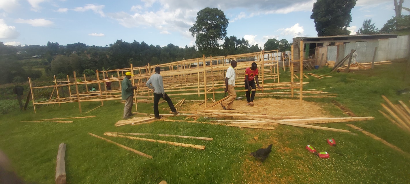 rabbit choice farms farm setup consultancy rabbit choice farms farm setup consultancy