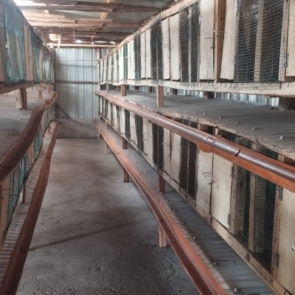 cages........