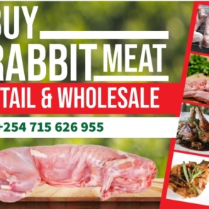 Buy rabbit meat