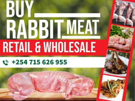 Buy rabbit meat