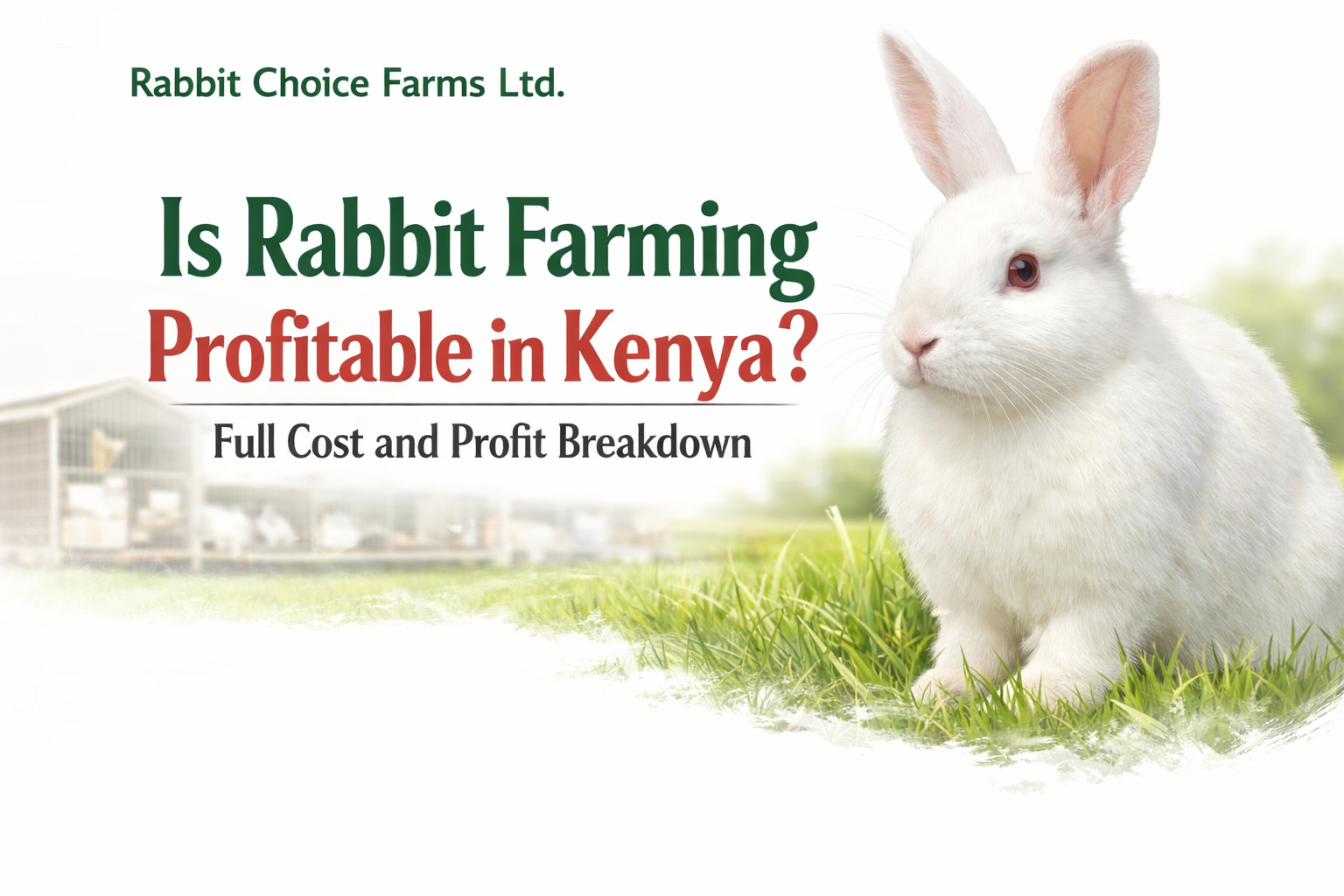 Is Rabbit Farming Profitable in Kenya? Full Cost and Profit Breakdown ...